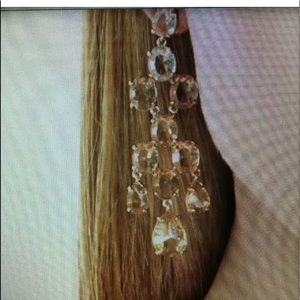 NWT BCBG Stone Champgnco Stone Earrings Origin $68